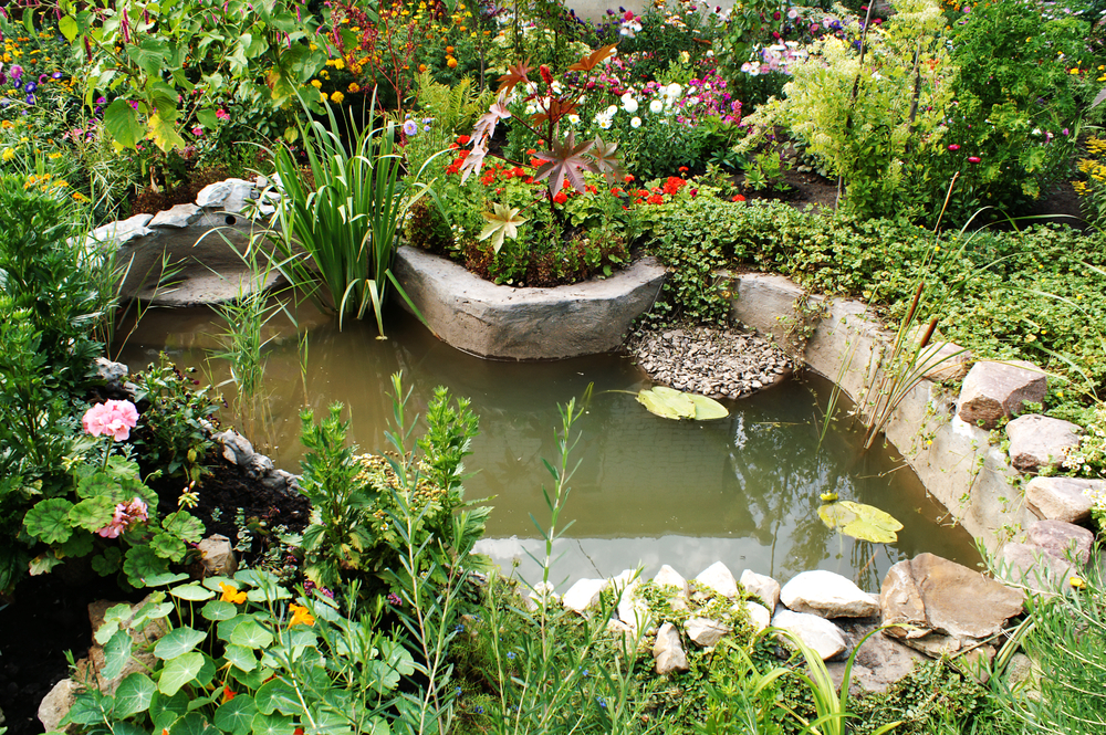 Professional pond cleaning service in Kent - clear water results